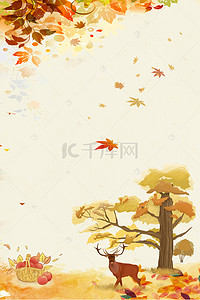 彩色枫叶背景图片_彩色枫叶植物秋季背景