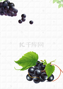 红酒洋酒背景图片_葡萄庄园背景图片