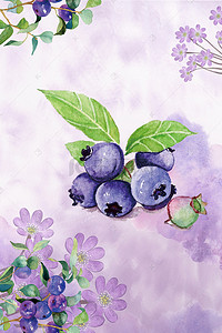 树叶水果背景图片_夏日水果蓝莓手绘背景