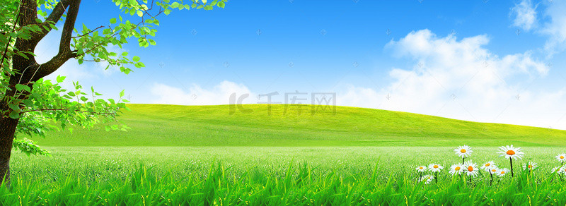 绿色生态背景图片_清新绿色生态蓝天背景