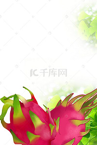 夏季火龙果食品海报背景火龙果