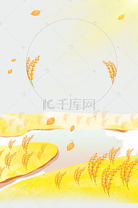 黄色小麦背景图片_24节气小清新背景模板