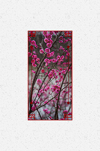 春分背景海报背景图片_二十四节气之春分海报背景模板