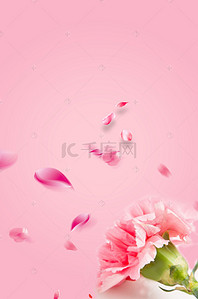 手机端端背景图片_粉色花朵护肤养生手机端H5背景