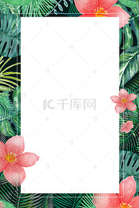 清新热带植物背景图片_热带植物花叶夏季活动海报psd分层背景