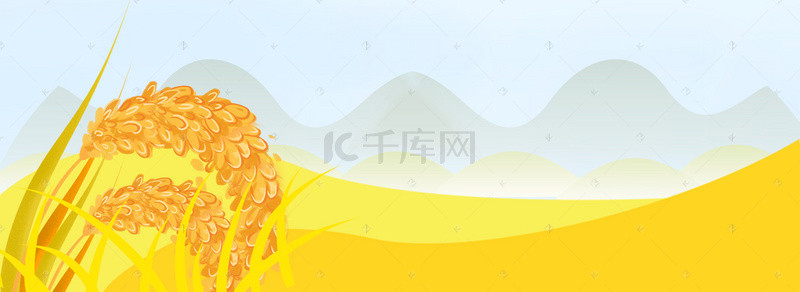 清新黄色芒种稻谷景象背景