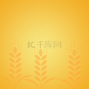麦子小麦背景图片_浅黄色麦子淘宝主图
