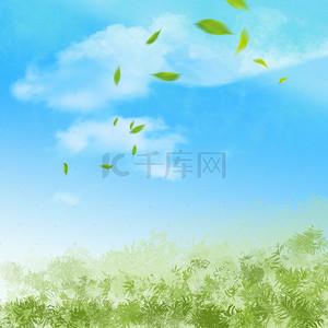 蓝天白云清新绿叶图片