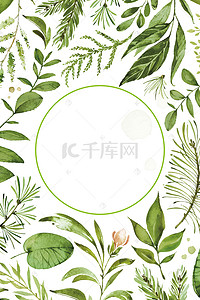 绿植夏天背景图片_灰绿色清新夏日热带绿植花卉时尚插画风背景