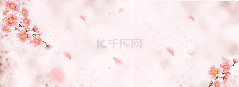 樱花节花瓣背景图片_樱花节春季手绘樱花banner