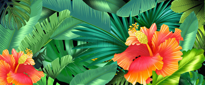 手绘素材素材元素背景图片_绿色花卉植物背景
