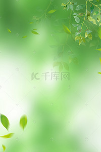 春季女装绿色背景图片_绿色清新叶子光晕简约背景