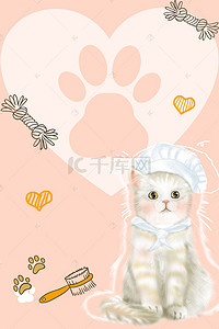 小猫背景图片_宠物店小猫咪海报背景