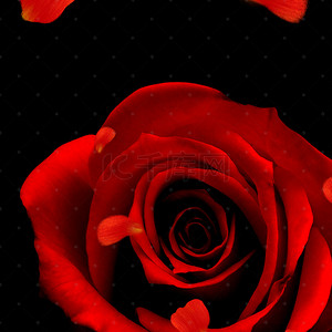 玫瑰花浪漫化妆品PSD分层主图背景素材