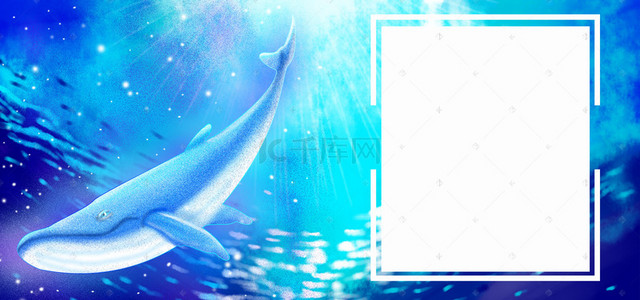 大海卡通海豚背景图片_大海卡通激情蓝色banner背景