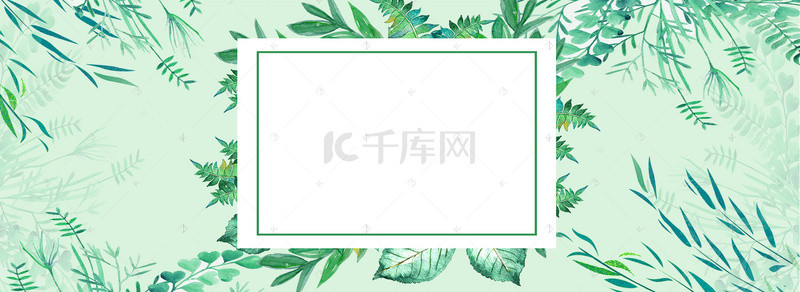 绿叶背景植物边框banner