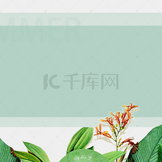 立夏背景图片_绿色植物清新天猫电商背景