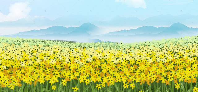 骑行青海湖背景图片_油菜花 山丘 黄色鲜花 黄色花朵 绿草