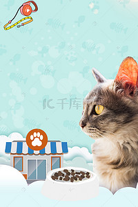 猫狗领养宠物背景图片_时尚宠物店铺宠物海报