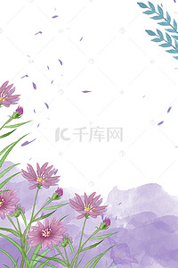 手绘唯美花卉背景图片_野菊花紫色背景图片