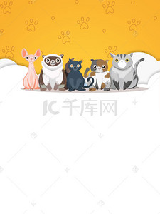 宠物猫宠物狗背景图片_宠物萌宠促销宣传推广