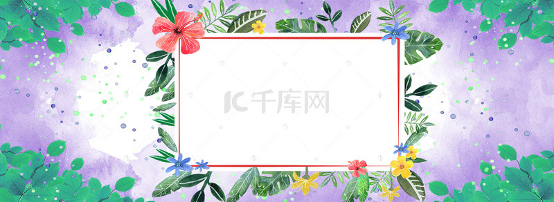 清新夏日植物边框背景图片_清新植物边框banner