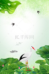 白露二十四节气白鹤叶子露珠海报