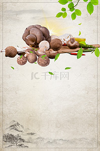 特产清酒背景图片_中国风土特产蘑菇香菇菌类海报