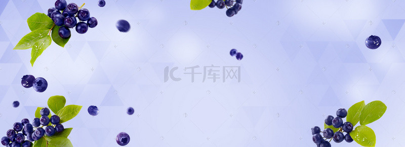 蓝色清新水果主题蓝莓淘宝电商banner