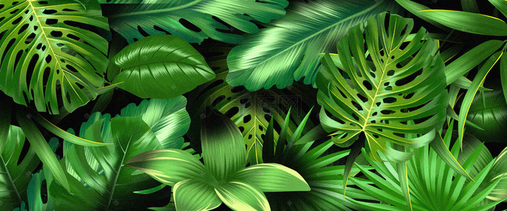 手绘植物背景素材背景图片_绿色花卉植物背景