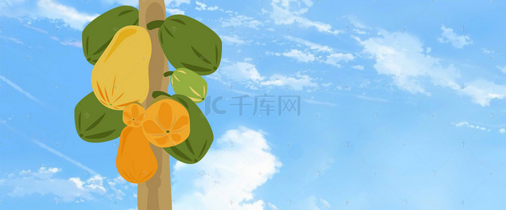 蓝色系海报背景图片_木瓜树季节水果促销海报背景