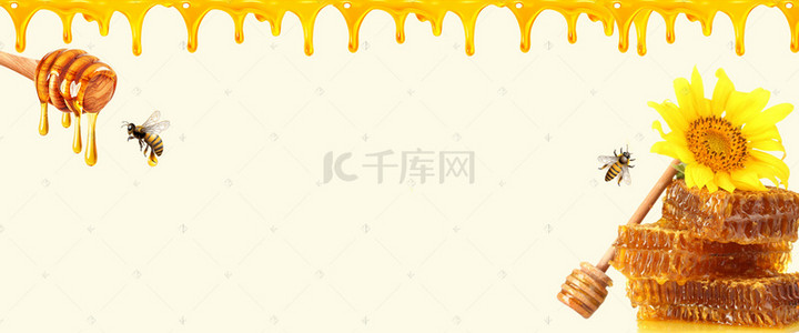 黄色简约美食营养蜂蜜电商食品banner