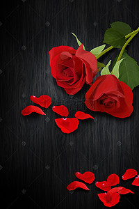 花瓣海报背景图片_黑色质感花瓣玫瑰花黑色情人节海报背景