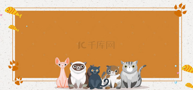 简约宠物猫背景图片_萌宠来袭可爱黄色简约banner