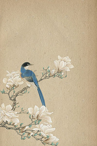 中国复古背景图片_古风手绘花卉飞鸟工笔画古典背景