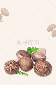 野生菌菇背景图片_简约美味香菇促销