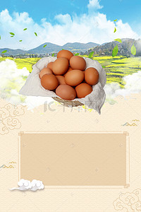 农产品散养土鸡蛋背景