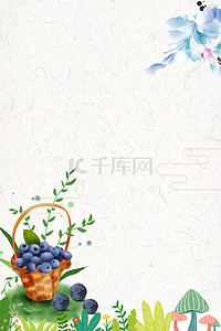 蓝莓卡通图片背景图片_水果花卉背景图片