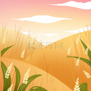 金黄色的田野背景图