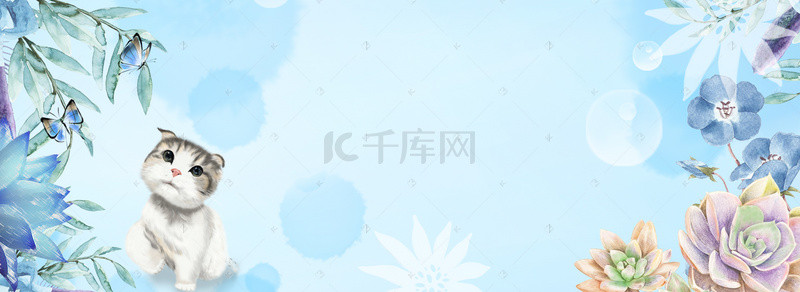 小清新植物蓝色背景图片_蓝色小清新花朵猫咪绿植多肉banner