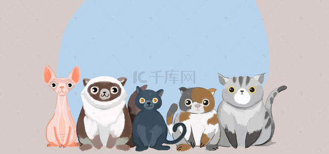 猫咪几何背景图片_宠物大集合彩色清新banner