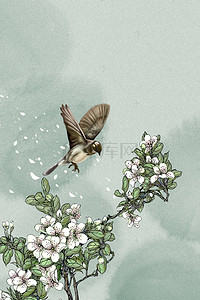 花瓣纷飞背景图片_中国风的梨花海报设计