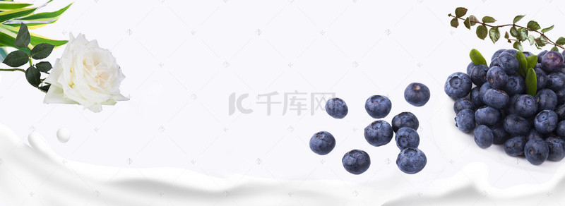 有机清新背景图片_美味蓝莓文艺小清新banner