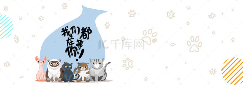 新品新款促销背景图片_淘宝萌宠新品清新电商促销banner