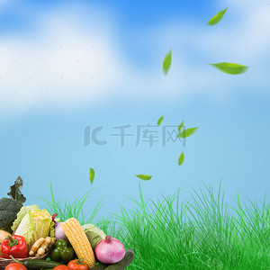 破壁机背景图片_清新草地蔬菜水果破壁机PSD分层主图