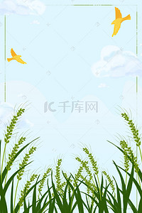 卡通小麦背景背景图片_传统节气小满卡通手绘小麦海报背景图