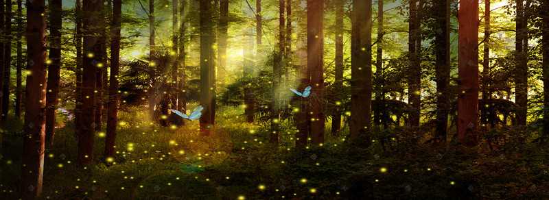 森林浪漫梦幻绿色淘宝海报背景