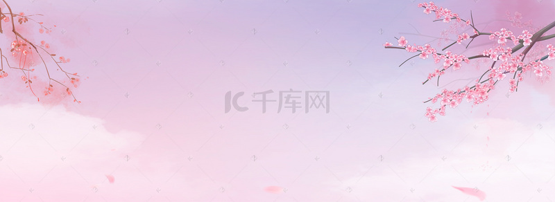 粉色渐变花瓣背景图片_粉色花瓣渐变白色banner背景