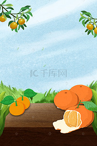 产品展示宣传背景图片_新鲜柑橘海报背景模板