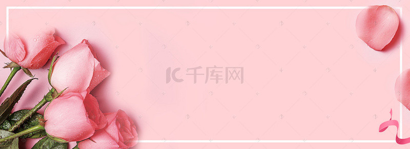 520七夕情人节粉色玫瑰花背景Banner